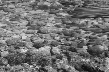 Top down view of calm clear water and rock bottom surface of Gulf of Corinth shoreline in black and white