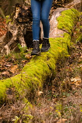 Obraz premium Walking on fallen tree trunk in autumn forest with black boots