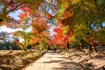Gardens of Daigo-ji temple in autumn, Kyoto, Japan