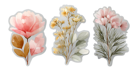 Elegant Floral Illustrations with Pink and Yellow Blooms on Transparent Background