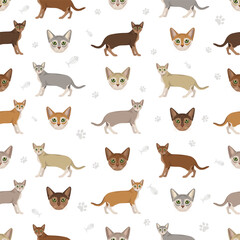Singapura Cat clipart. All coat colors set.  All cat breeds characteristics infographic. Vector illustration