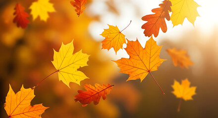 Fototapeta premium Vibrant autumn foliage gracefully descends, creating a picturesque natural display in warm sunlight