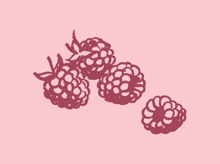  Raspberry berry sketch rough line style vector illustration © Victoria