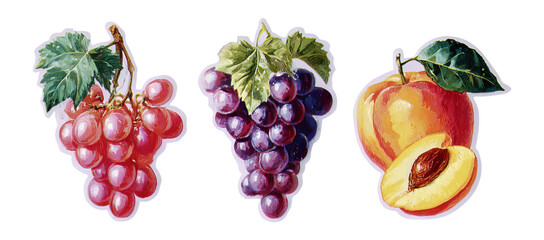 Colorful Grapes and Peach on Transparent Background for Fruit Illustrations