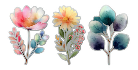 Colorful Floral Illustrations with Transparent Background for Creative Projects