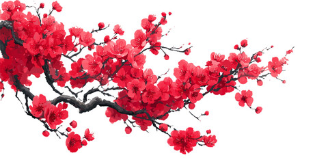Vibrant red cherry blossom branch with delicate petals and dark bark isolated on white background