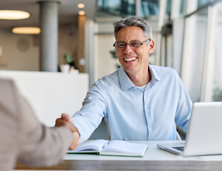 Naklejka premium Portrait of a young businesswoman and businessman shaking hands introducing each other during a meeting or conference in the office