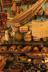 arte indígena amazonia brasil floresta indigenas ribeiros