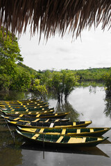 barcos em lago com natureza brasil amazonia