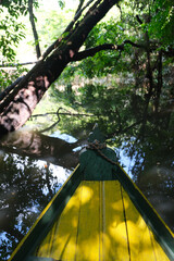 árvores verdes mata floresta amazonia natureza brasil lago igarapé lagoa selva folha