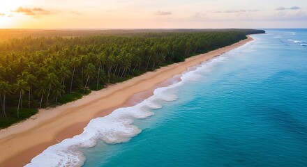 Tropical Paradise - Pristine Beach and Lush Forest at Sunset.