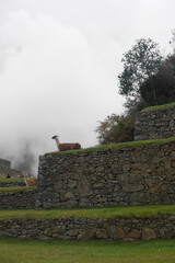 incas monumento viagem machu picchu peru turismo cultura história andes américa latina 