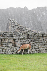 incas monumento viagem machu picchu peru turismo cultura história andes américa latina 