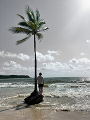 praia palmeiras barco natureza areia paraíso 
