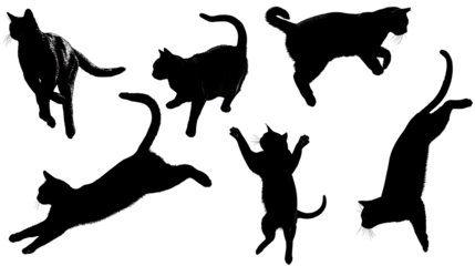 Black cats silhouettes falling, elegant motion, isolated