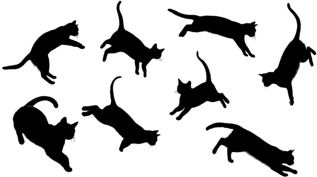 Black cats silhouettes falling, elegant motion, isolated