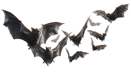 Fototapeta premium Bats with torn wings raining down, grotesque detail, isolated