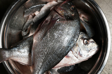 Close-up, overhead view of several whole, raw sea bream, dorada with silver scales,