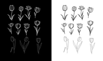 hand drawn outline flower silhouette vector illustration, hand drawn outline flower collection vector illustration, floral, birthday, pattern, flowers, nature, wedding, cute, spring, pink, symbol, 