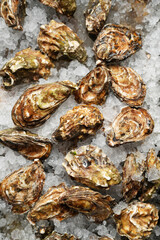 An extreme, high-angle close-up of several unshucked oysters with rough, textured brown and green shells, tightly nestled together on a bed of glistening crushed ice