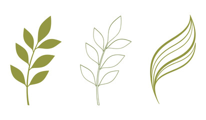A set of three stylized green leaf and branch illustrations on white background olive green outline