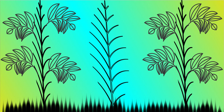 young glow oblanceolate leaves green  yellow full border and lot on the black screen