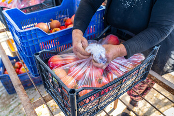 Ripe red fresh pomegranate fruit (Nar). They are being packed into crates to be sent to the market....