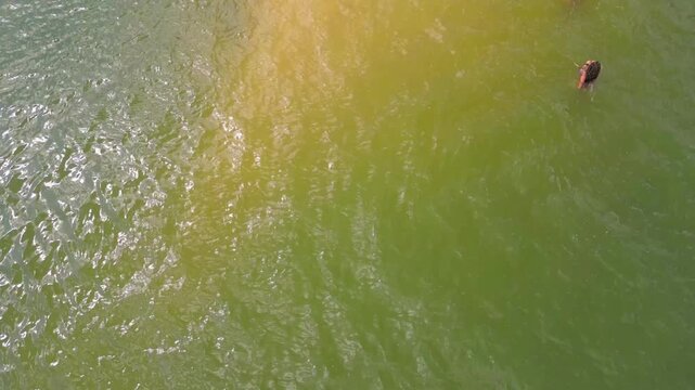 Aerial drone footage over "Alter do Chao" beach on "Ilha do Amor" island, along the Tapajos river in Santarem, Para state, Brazil &ndash; a freshwater paradise known as the brazilian caribbean