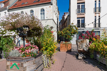 Beautiful autumn flower gardening on the streets of Riga Old Town, Latvia. Environmental decoration concept