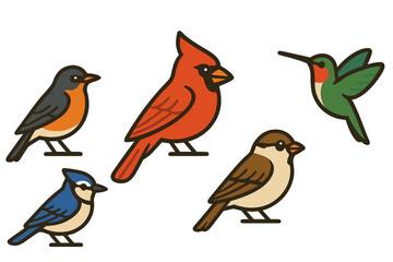 Fototapeta premium Colorful North American birds: cardinal, blue jay, robin, sparrow, and hummingbird set