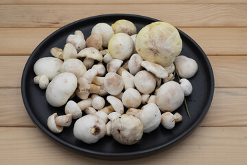 Cleaned edible Suillus mushrooms displayed on black plate placed on wooden surface. Natural organic forest food, autumn harvest ingredient for healthy cooking and vegetarian cuisine.