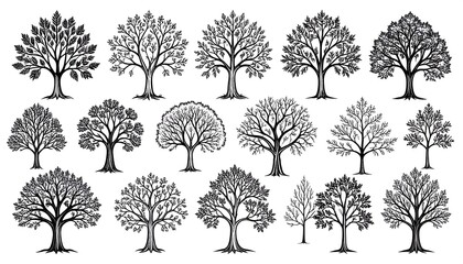 A collection of detailed line art tree illustrations in various forms. Leaves or bare branches are shown. The trees are rendered in black and white