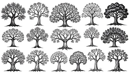 A collection of detailed line-art illustrations showcasing diverse tree silhouettes with various branch structures