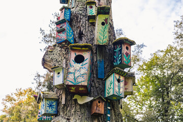 Birdhouses on a Tree in Verkiai Park in Vilnius, Lithuania