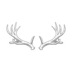 Elegant Hand-Drawn Deer Antlers Illustration
