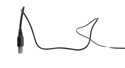 USB cable close up isolated on white background
