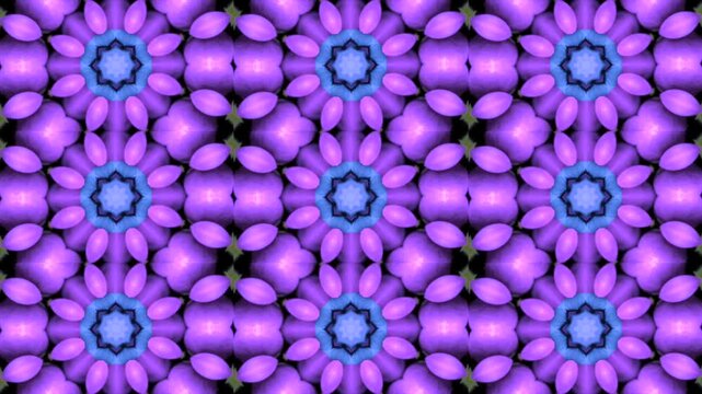 A repeating kaleidoscope pattern with floral elements