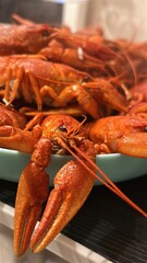 Close-up of freshly boiled red crayfish served on a plate. Delicious seafood dish, traditional cuisine, concept of gourmet meal, restaurant food and beer snack.