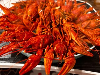 Close-up of freshly boiled red crayfish served on a plate. Delicious seafood dish, traditional cuisine, concept of gourmet meal, restaurant food and beer snack.