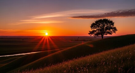 Golden Hour Serenity - A Lone Tree Silhouetted Against a Vibrant Sunset.
