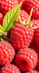 Close-up of Fresh, Ripe Raspberries with Green Leaf.