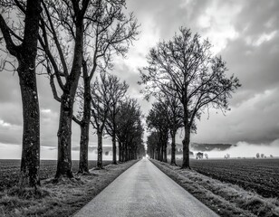 Obraz premium Quiet country road lined with bare trees under a moody sky at twilight