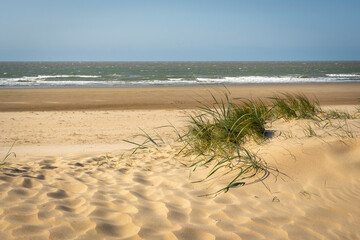 Footpath through dunes with footsteps, tracks in the sand between sedge bushes, footprints on the way, blowing grass in the wind, nobody, a lonely path by the North Sea, solitude