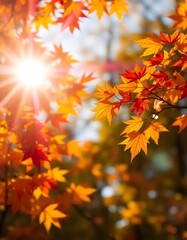 Fototapeta premium Autumn leaves in the park