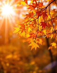 Fototapeta premium Autumn leaves in the park