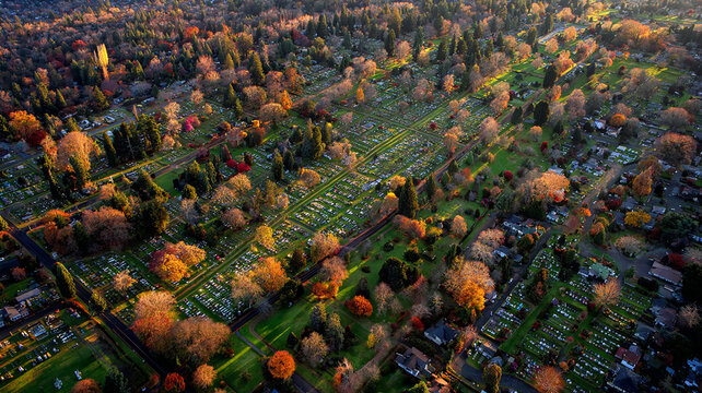 Wide Cemetery with Pathways and Autumn Trees Seen from Above