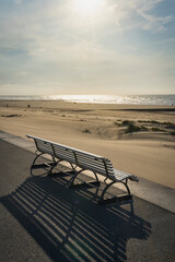 Park bench on the shore of North Sea. Wind makes structures in the sand at the ocean, natural art on the sandy beach, place to recreation on holiday