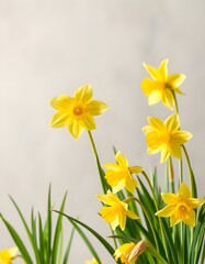Obraz premium Yellow flowers in the field
