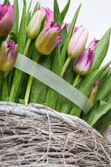 Close-up of pink and purple tulips in rustic wicker basket with green leaves and translucent ribbon
