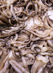 Squid in a fish market